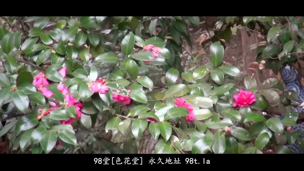 ABP-115 [无码破解]色情温泉一泊二日 最高级的情人 芽森滴