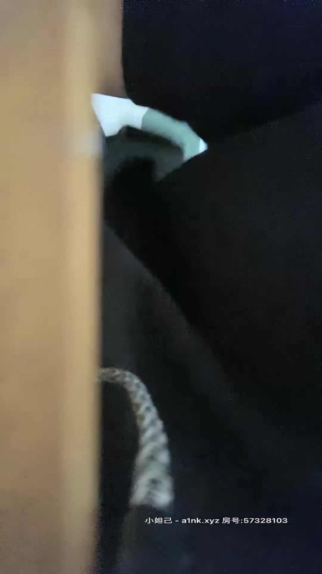 小宝寻花约神似邓紫棋高颜值肤白貌美女神 温柔配合娇喘连连