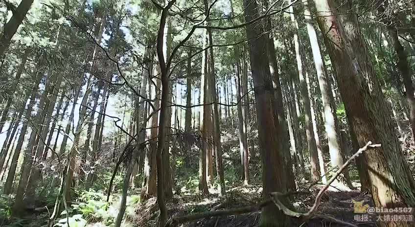 无码中文字幕剧情片，故事讲述ol女白领厌倦了都市的喧嚣，回到了家乡小山村，因为以前做过一天风俗女，却不被家乡人接受，有了轻生念头，被大叔救回，在生死边缘，与大叔疯狂操逼， #无码 #ol #户田真琴 #内射