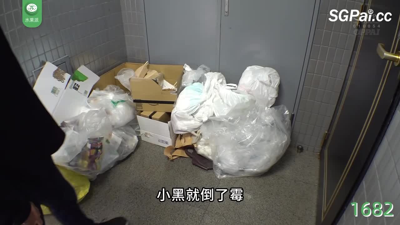 π1682 结狗遭报应！屡看不爽！<PPPE-070> #辻井穗乃果 #桃濑胡桃