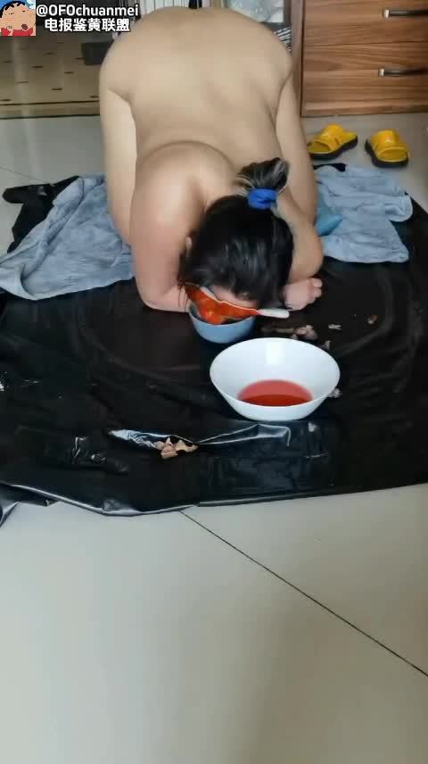 真的像狗一样养