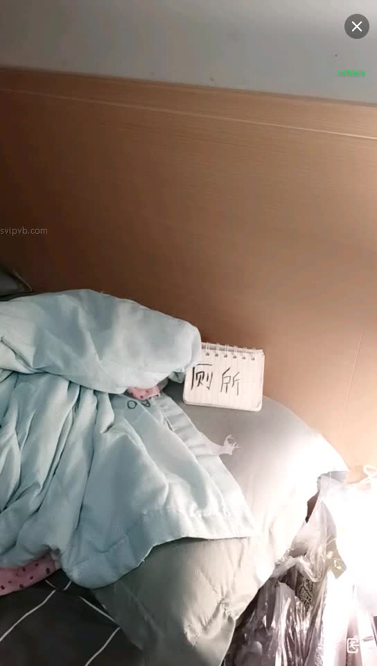 #直播 番茄：惠儿