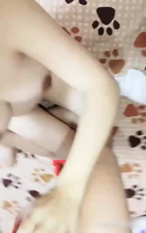 小伙子无套猛操孕妇 反正怀孕了 随便内射