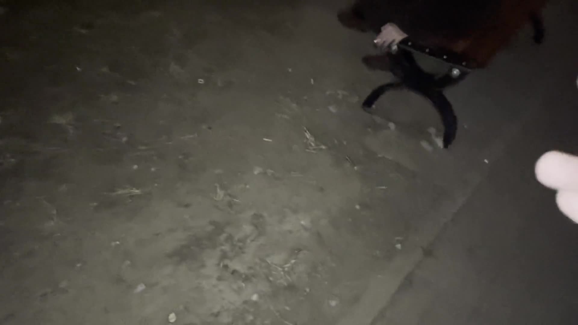 女生被绿户外自慰潮吹还要给我口？