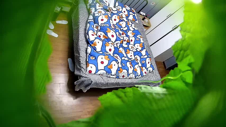 #偷拍 #酒店偷拍 #针孔摄像头 说实话男的速度太快了吧 短短这么点时间搞了2次