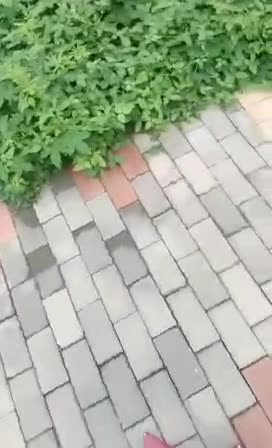 大清早的本来只是骑个三轮车上街卖辣椒的 玩玩没想到竟被骚货勾引做爱 大爷也是给整懵了 可能辣椒吃多了 大爷也是很勇猛