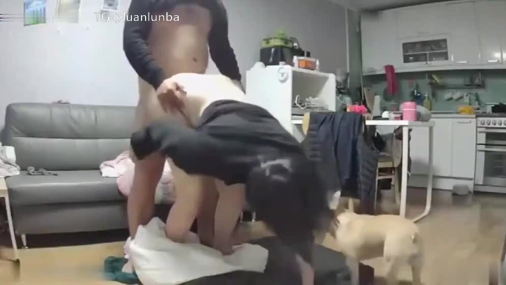 家庭摄像头偷拍 沙发上操逼，姐夫和小姨子偷情，小狗好奇抵近观阴