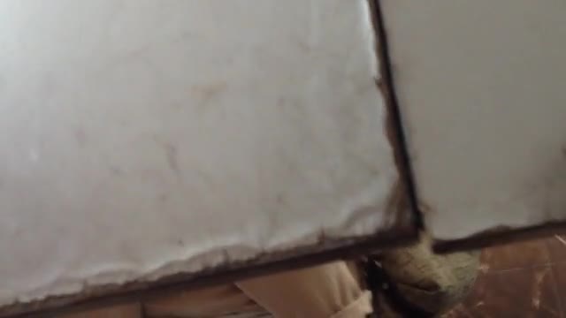 蹲守狂魔女厕所固定一个地方呆了一天，精选出几十个美B供大家观赏