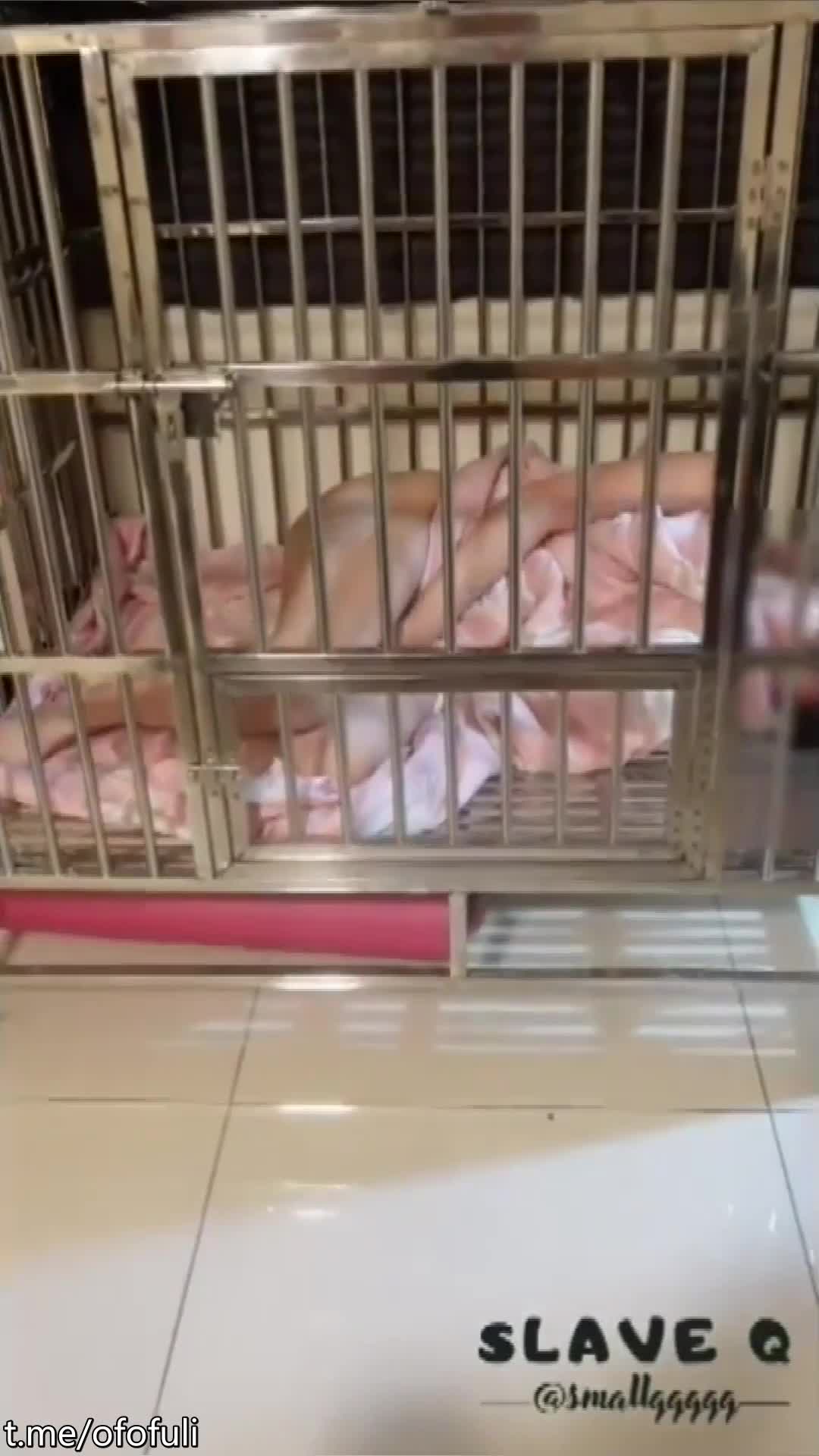 #电击 #放尿 #走绳 #SM #精品 奴隶物语系列️高潮惩罚篇️