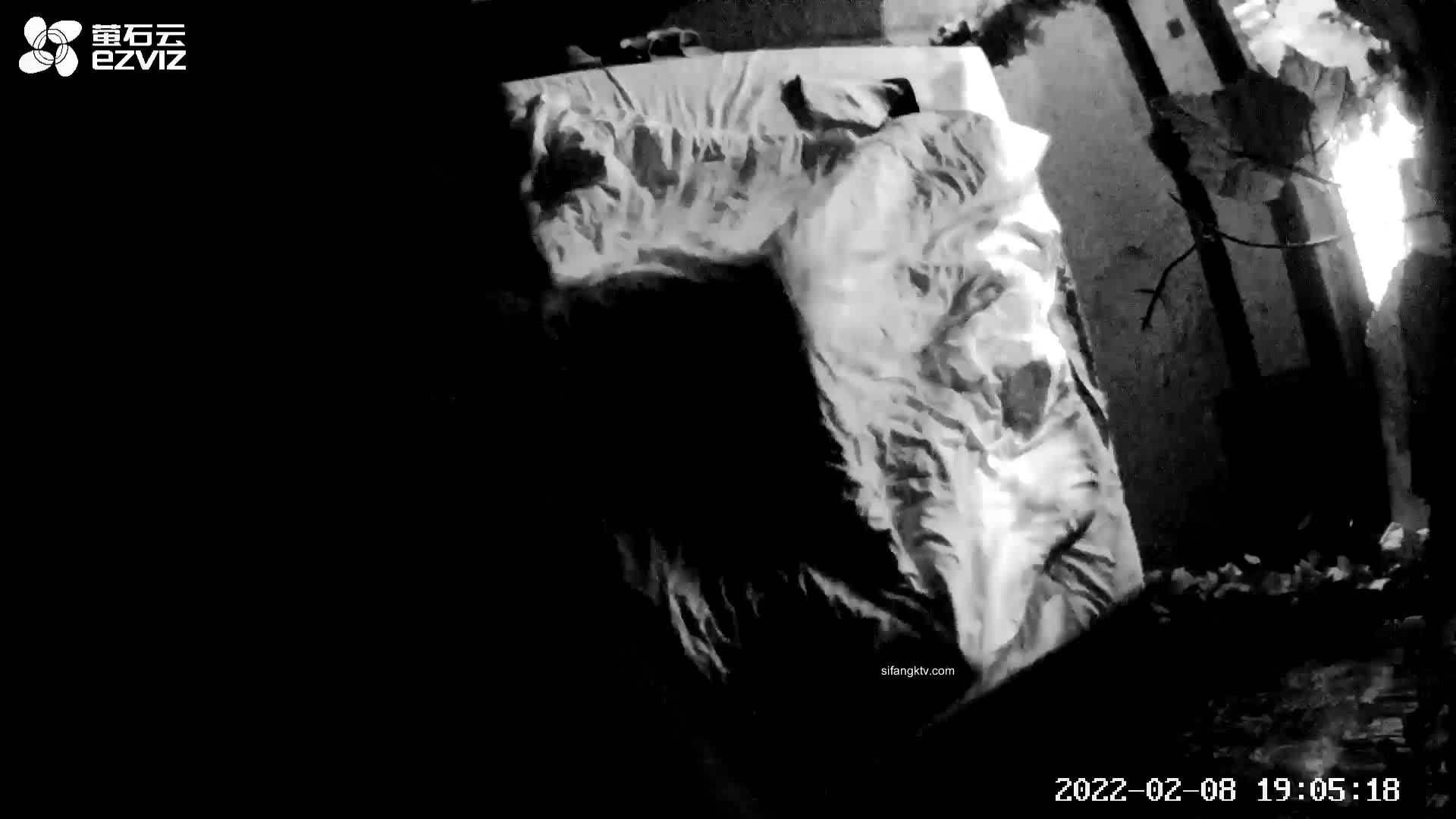 直播91骚 CDTP备用  转发获取源视频