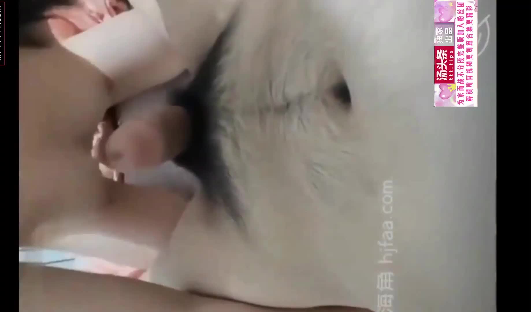 #乱伦 #口交 #偷拍自拍 #素人 #无毛粉嫩白完整版爸爸与19岁女儿私底下不为人知的秘密童颜巨乳边插边说笑