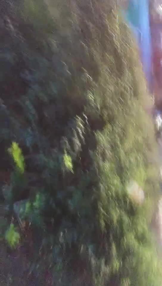 #熟女 #少妇  小哥猛干灰丝熟女，舔奶揉穴调情，抬腿肩上扛抽插猛操，搞得熟女爽了啊啊叫