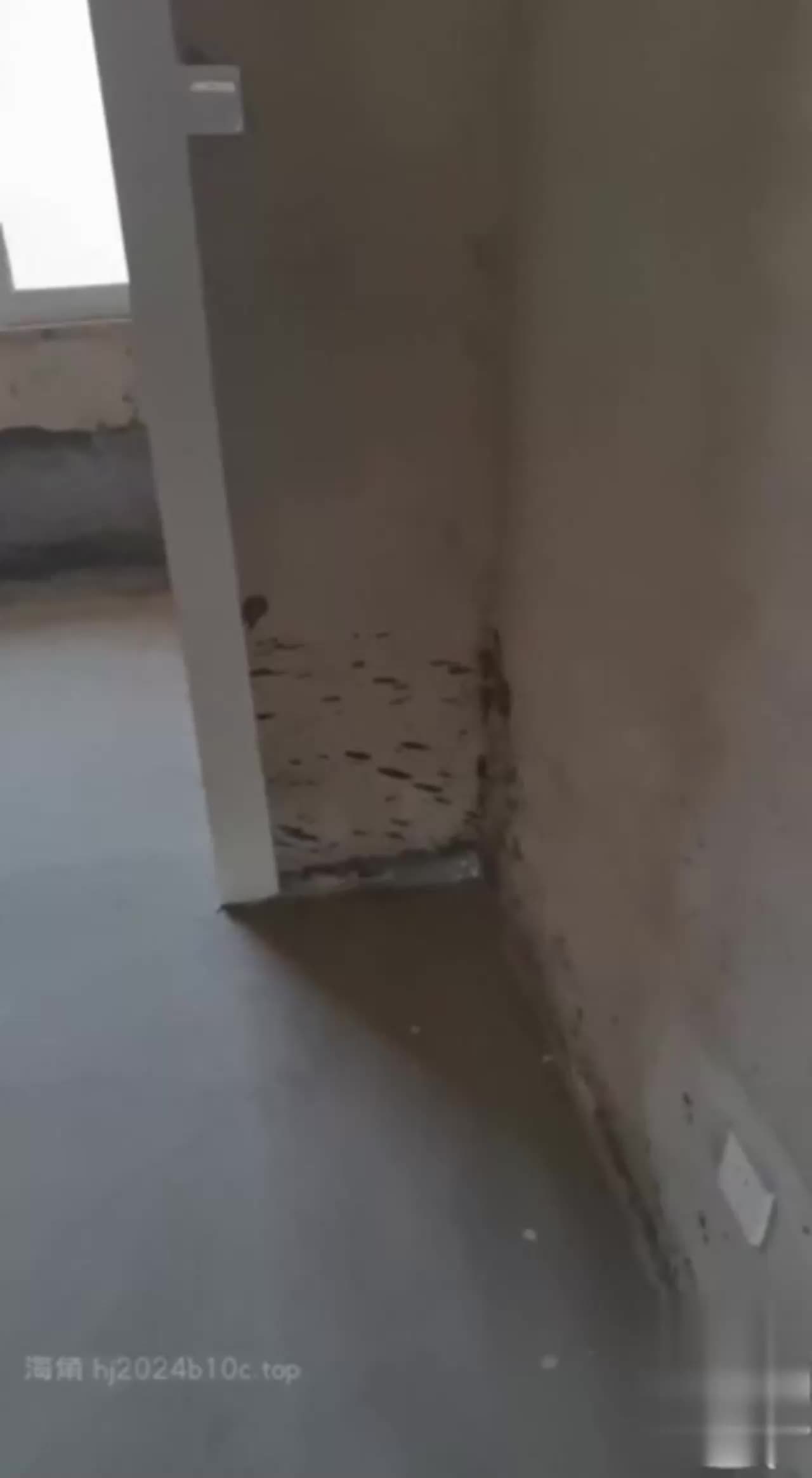 #丝袜 #狂插 #淫叫在别人的婚房里疯狂的艹着婶婶的白浆逼裹的满满一层舒服爱玩求虐的婶婶SM性虐