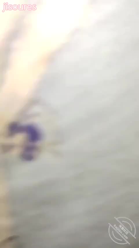 J哥爱上堂嫂 海角