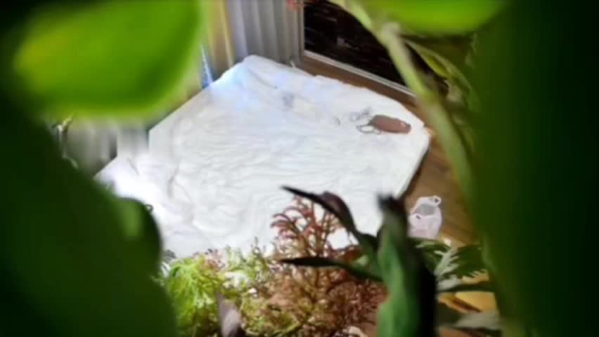 大学城酒店附近落地窗主题房