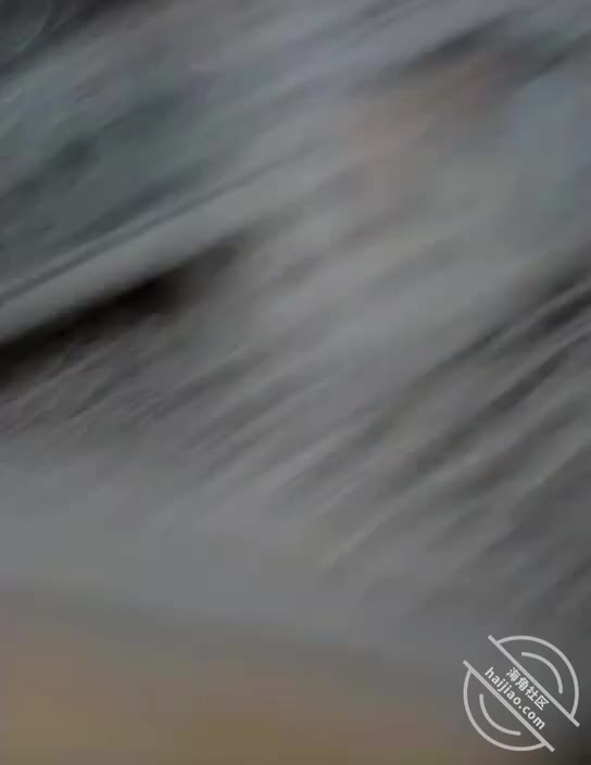 酒后拿下这个清高骚B 各种任我摆布 #拿下朋友妻(轻狂书生)