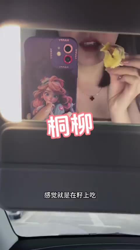 极品身材尤物御姐女神『桐柳』 顶级反差尤物，这就是因为没随身带套套，不然高低在摩天轮里打一炮 合集2#尤物  #御姐  #桐柳  #反差