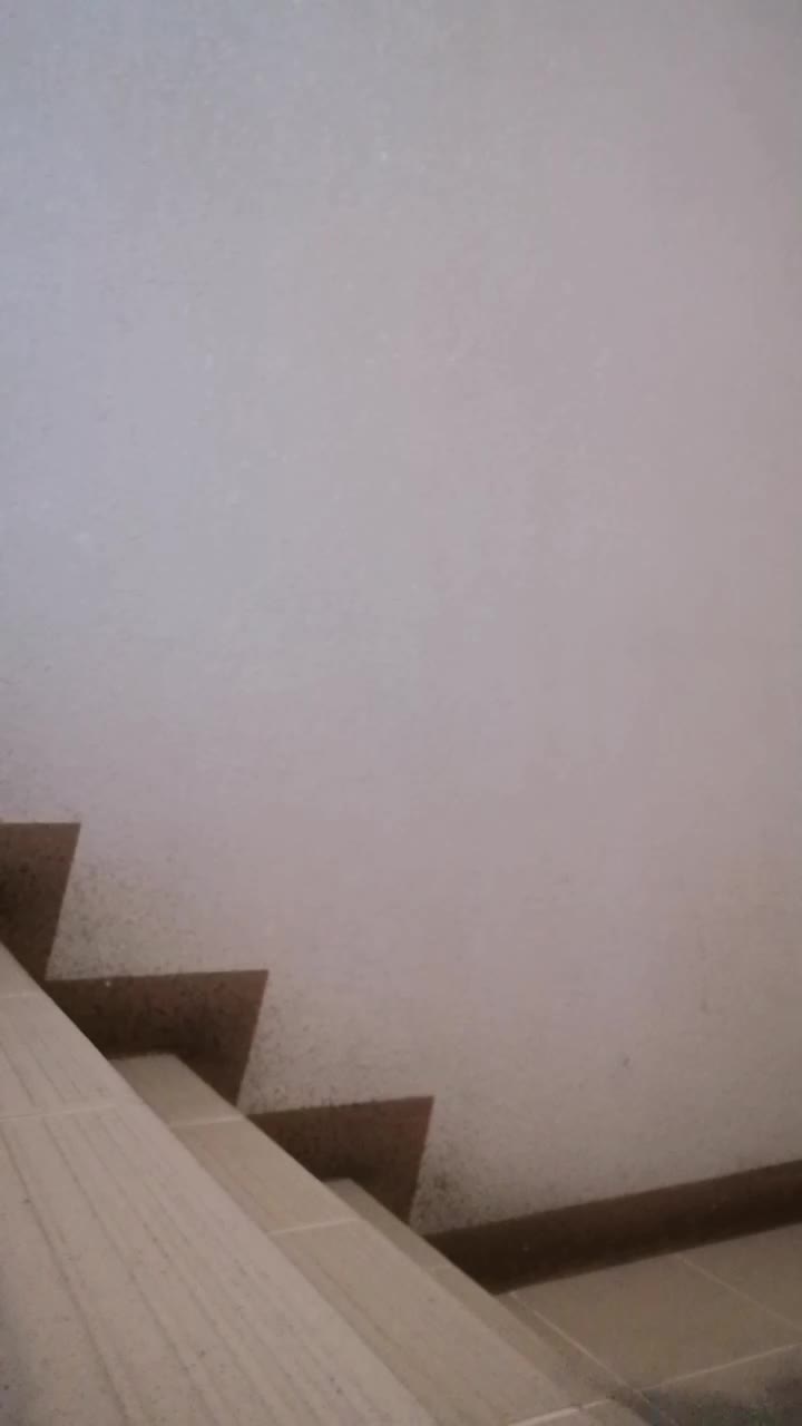 高学历大学生极度反差露脸眼镜妹【刘阳】无底线自拍合集1，露出裸舞啪啪，又骚又母狗#大学生  #反差  #眼镜妹  #刘阳 #裸舞 #露出