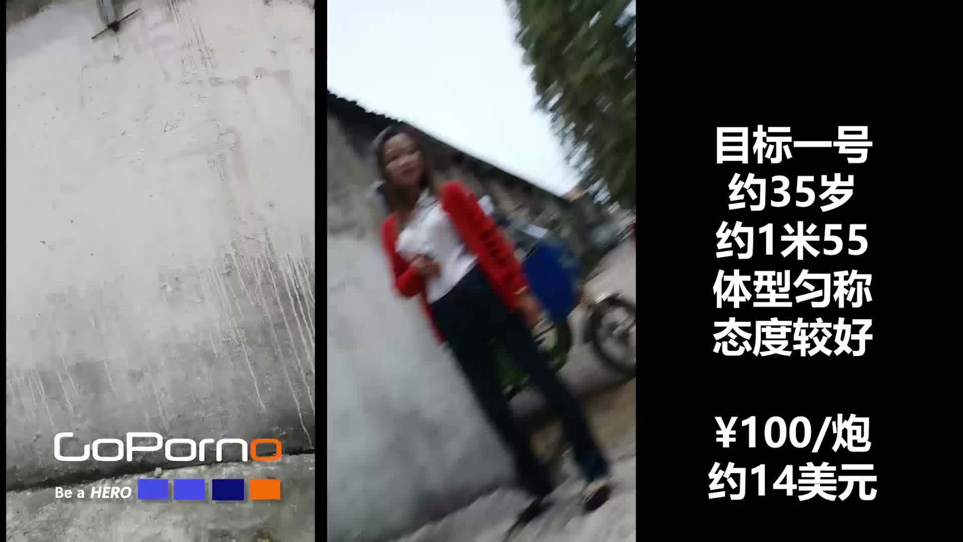 #Goporno 扫街 探花 嫖妓37V 4
