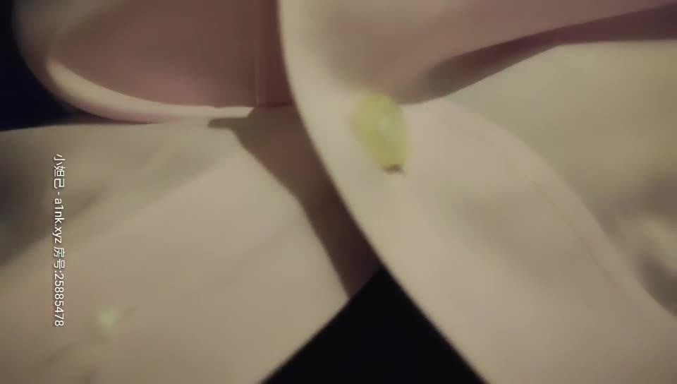 #伟哥 #伟哥足浴探花 伟哥洗浴会所寻欢 伟哥会所严选探花 合集230v 190g 18