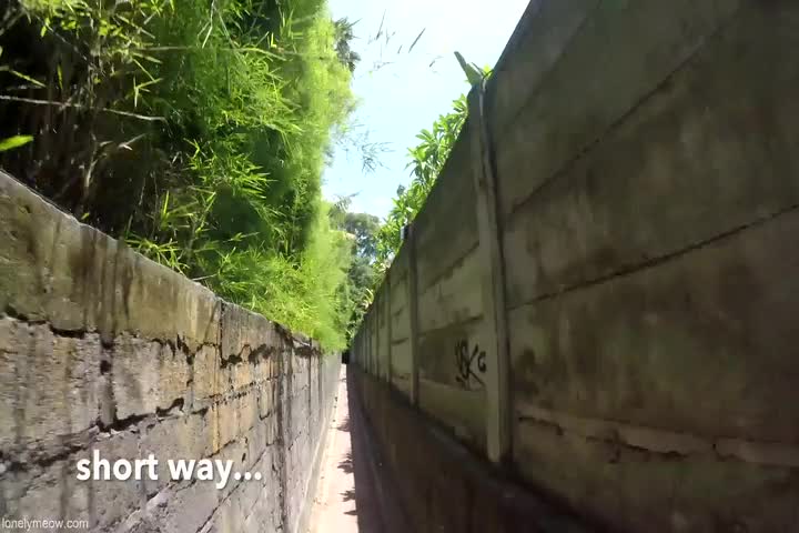 #北京瑶瑶 最新