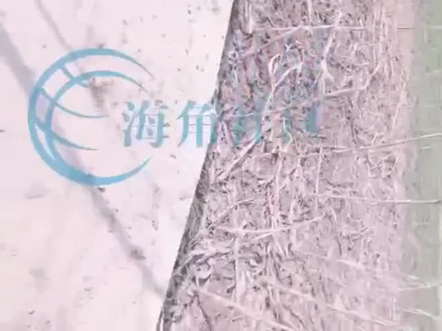 #巨乳 #口交 #女上位 #偷拍自拍 #素人海角大神原创视频贴户外田埂上玩妹妹妹妹的第一次给了我