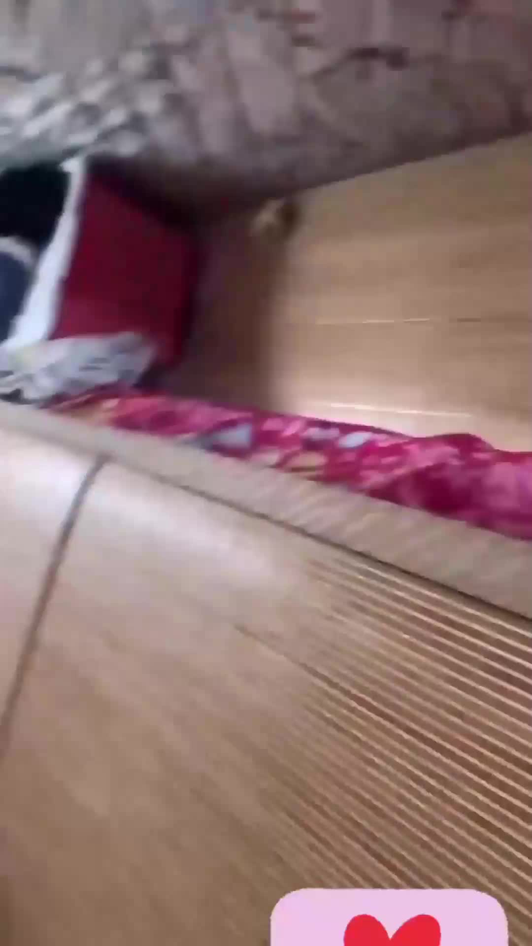 #淫语 #射精 #淫叫 #骚逼 #挑逗重庆母子乱伦恋母儿子强上骚妈