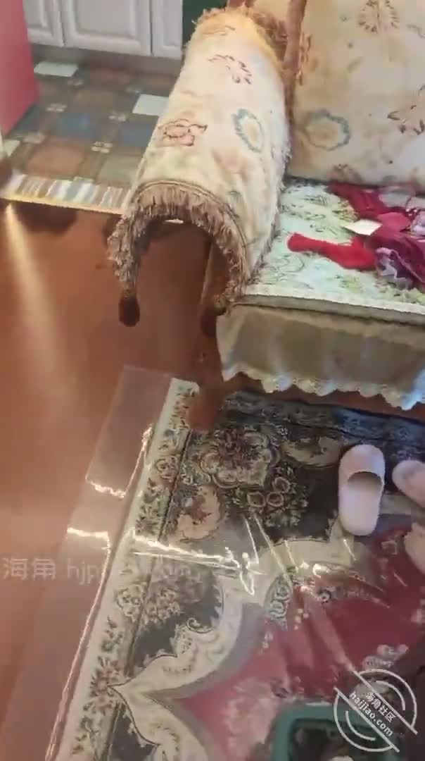 海角乱伦大神【善良的小嫂子】原版福利合集1，各种究极调教，找人3P亲嫂子#海角乱伦  #善良的小嫂子  #调教  #3P #嫂子