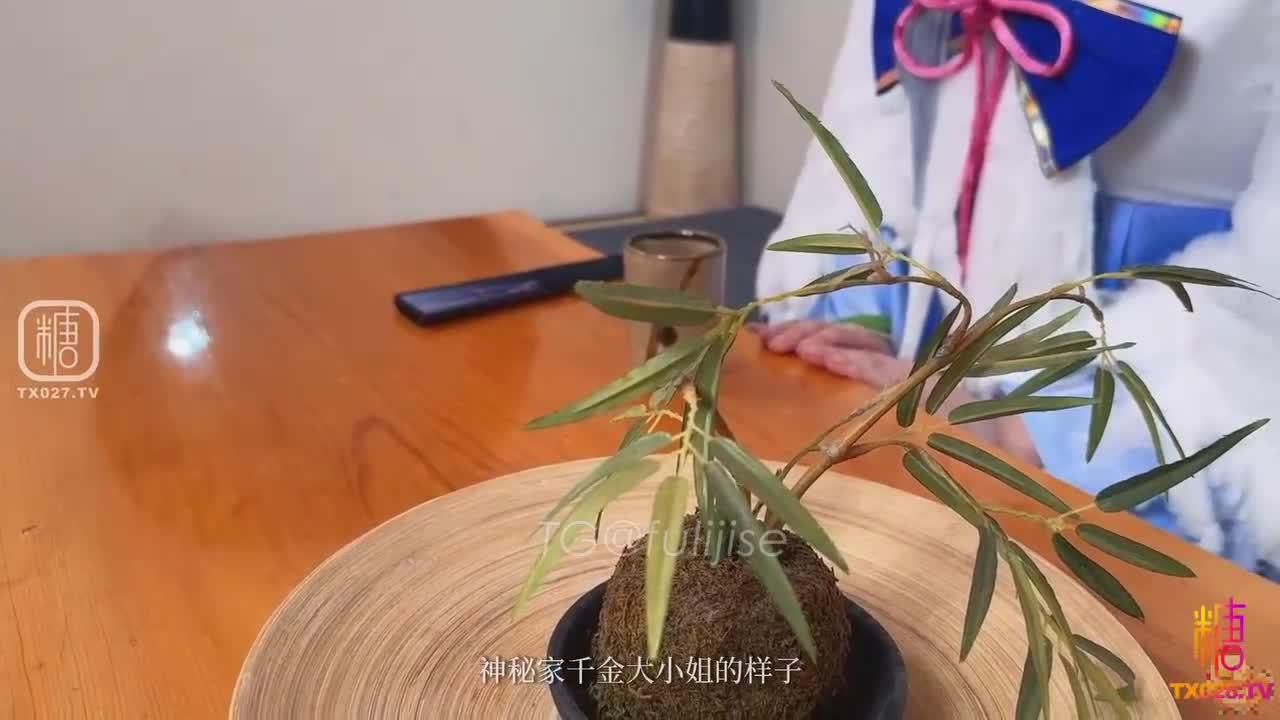 鸡教练 网黄摄影师专属学妹玩物 原神！启动 Cos神里 精壶肉便器 老师把精液射到子宫里 @fulijise #神里 #口交 #啪啪 #后入