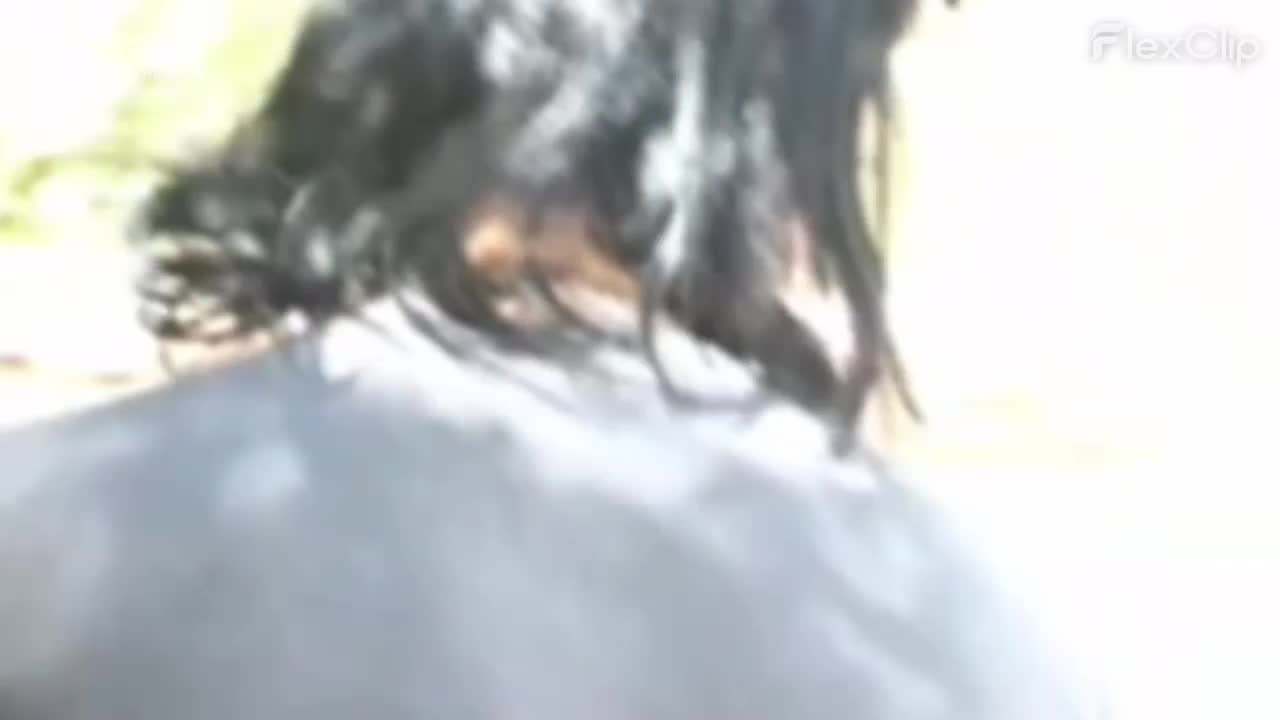 标题：真实强奸 国外这么乱的吗，大白天直接把妹纸按倒在地实施强奸，然后潇洒离去 标签： #强上 #爆操 #求饶 #失禁 #麟烟阁 @lyggw简评：这可太刺激了 当街直接按倒强奸 都给女人操尿了聊天群     万能搜索点我一键订阅麟烟阁全服务