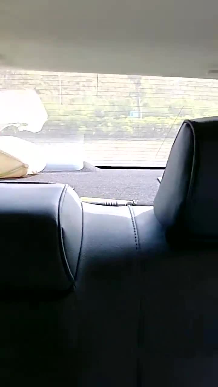 #主播神田咏美 户外车里啪啪狂操