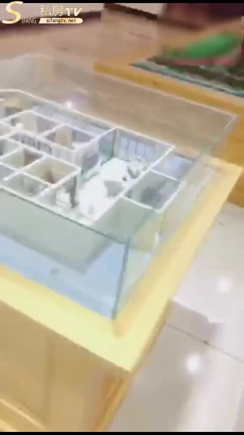 售楼价钱太高，为了冲业绩答应啪啪!! #经典 #公共场所 （还是这个好点，纯经典）