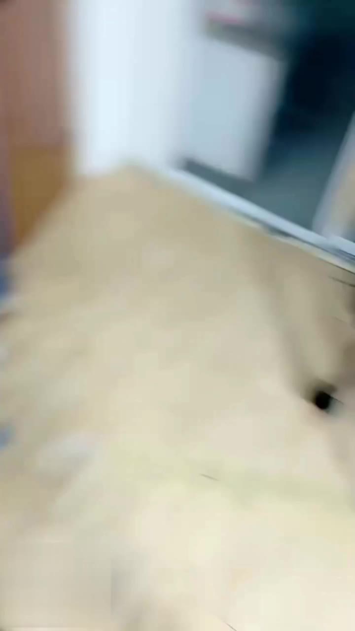 #母狗娇小的小骚货伺候两个男人