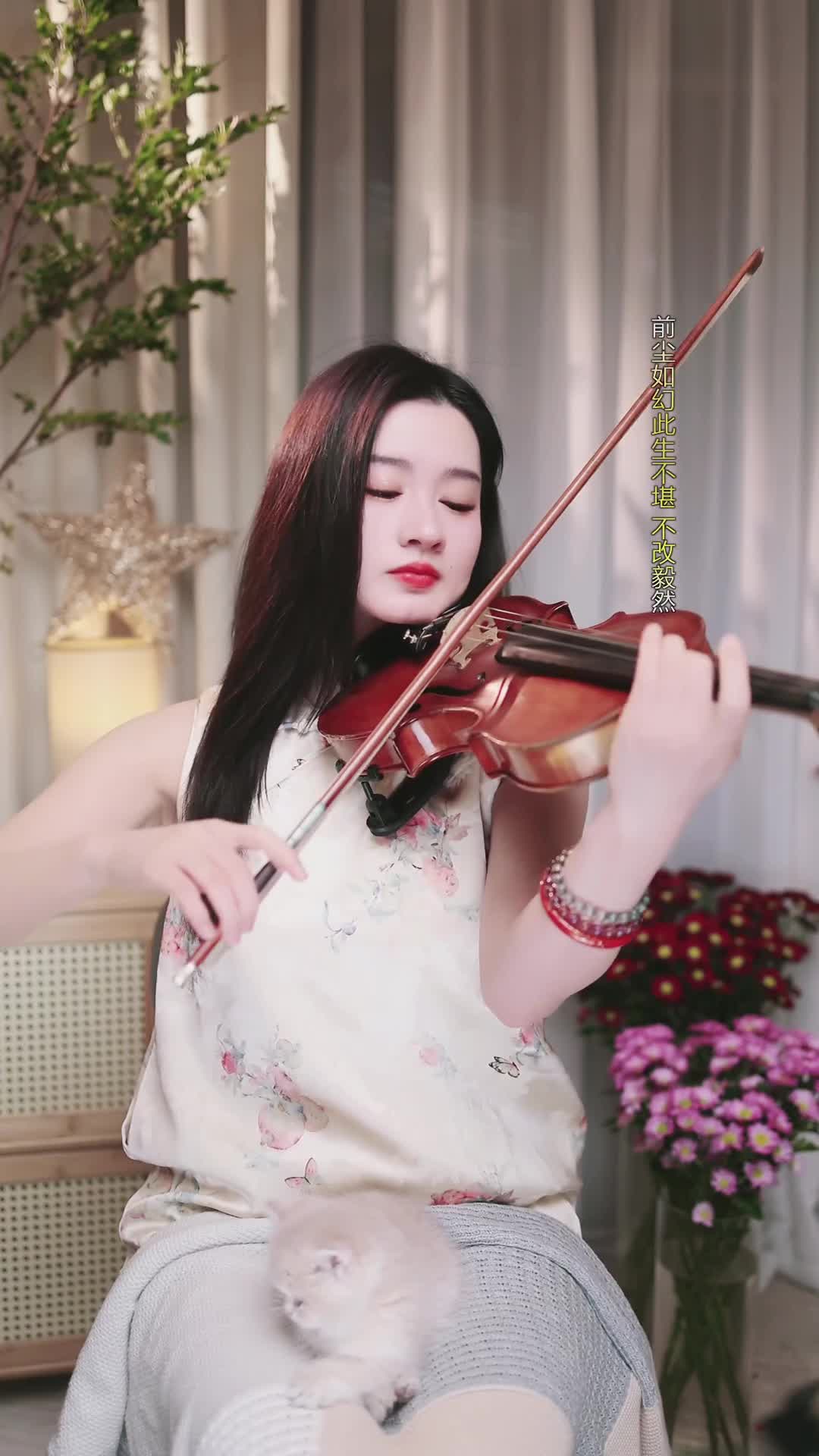 #若曦小提琴 #抖音 #乐器 @ikan_live 2024-11-03