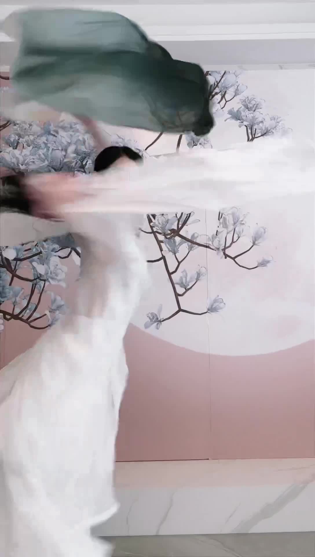 #中国舞_莹莹 #抖音 #舞蹈 #中国舞 @ikan_live 2024-12-13