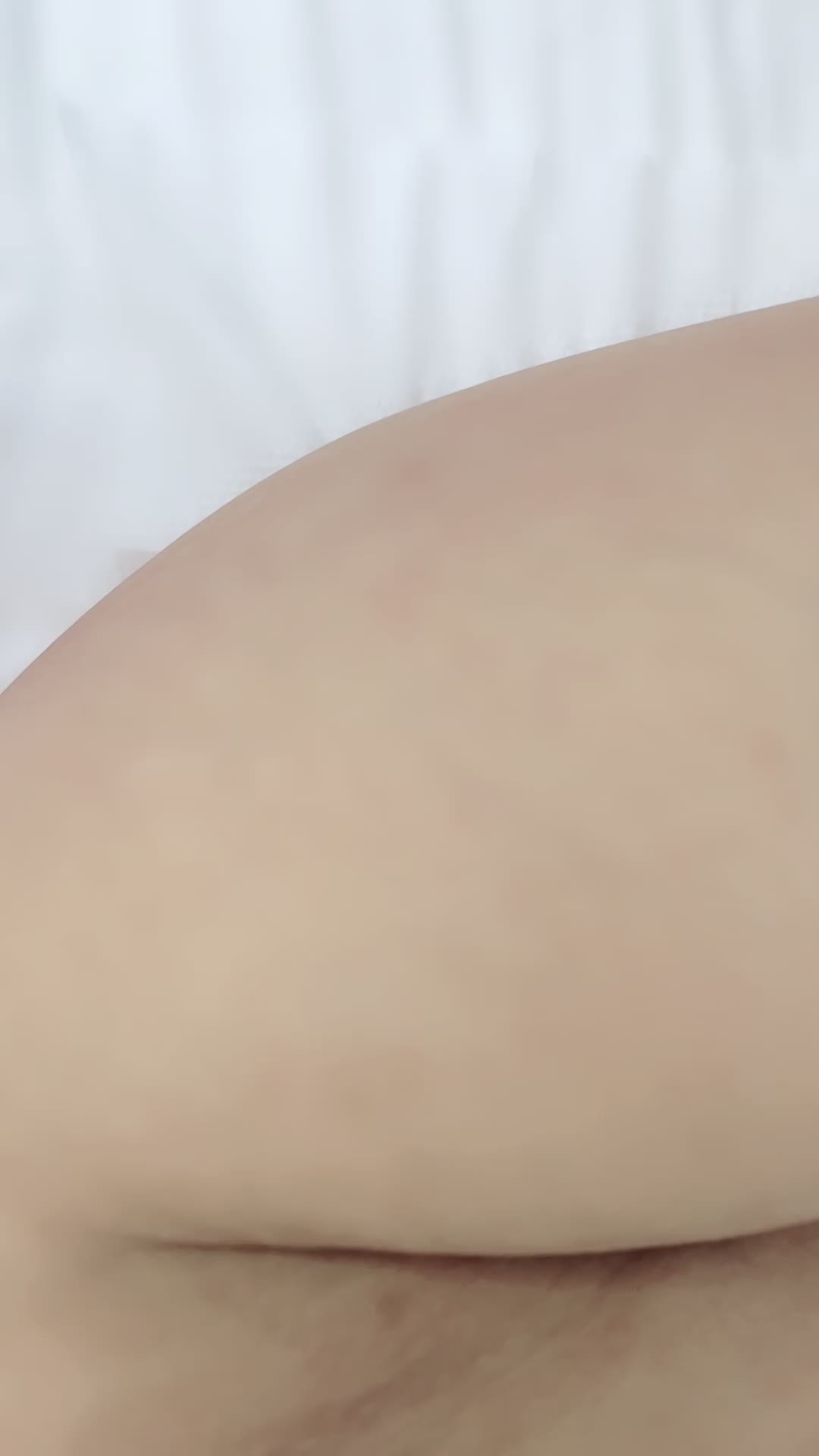 @陈小鱼20241207_202239