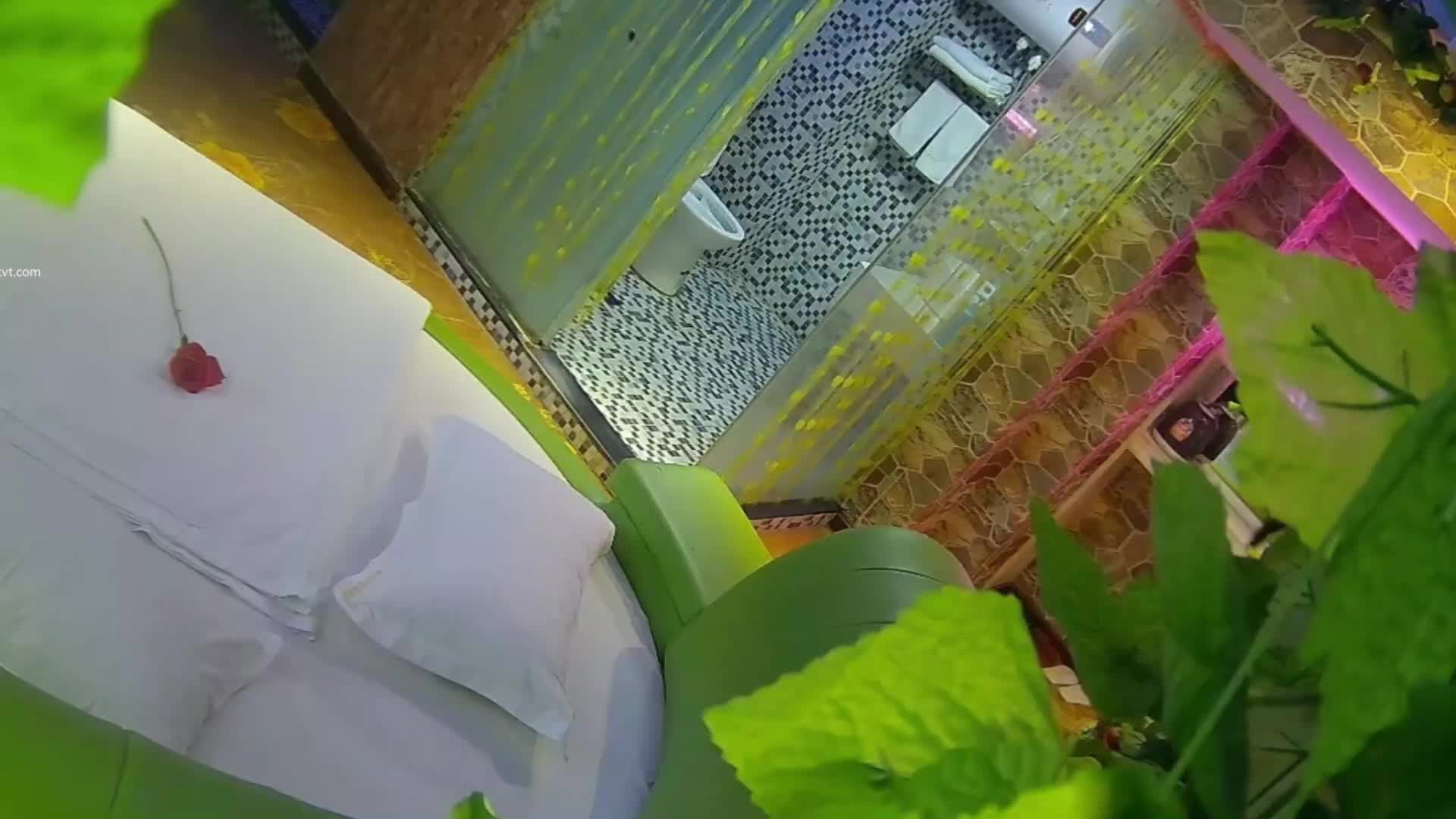 #酒店偷拍 精品针孔偷拍 学生系列福利完整版超级粉嫩的学妹情趣酒店跟异地男友周末腻歪，澡都还没开始洗进门就抱起来猛亲，这种才是真实的年轻人。小小年纪性经验特别丰富，也是个青铜舔逼段位，能让学妹舔的扭曲着身体。拔开衣服，学妹发育的挺成熟，也算个极品奶子。看来骚货这两个字年纪无关。这部本频道免费发送学生题材，如有喜欢 少妇 学生 各种资源 评论区留言 随机每天更新免费供各位观看
