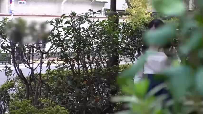 無法忍耐的快感 終究還是失禁絕頂了️STARS-334 永野一夏 电报敏感资源 日本AV磁链频道