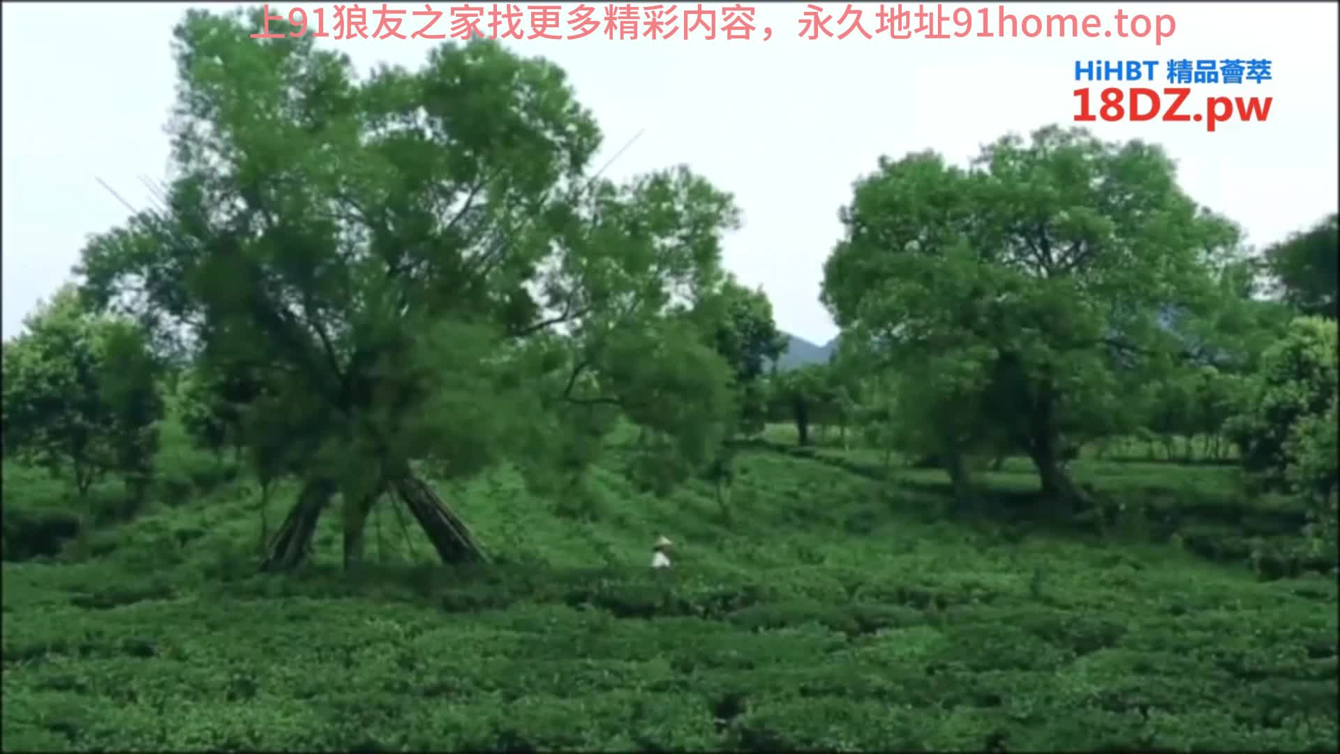 #露出