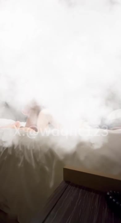 #紫蛋 被 我的枪好长 哥哥后入猛桩，极品母狗被操到全身抽搐，大脑空白，淫叫震耳