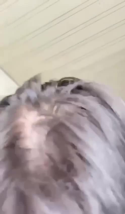 极品少妇人妻性爱视频曝光，口活非常好，口交时一边吃着鸡吧一边聊天，称赞男主的鸡吧又大又粗又饱满自己非常喜欢的类型，无套插入骚逼，逼里淫水直流，肉棒滑进骚逼里一定爽死了，自己拿着手机记录欣赏着说这样好刺激，全程对白清晰，骚话不断