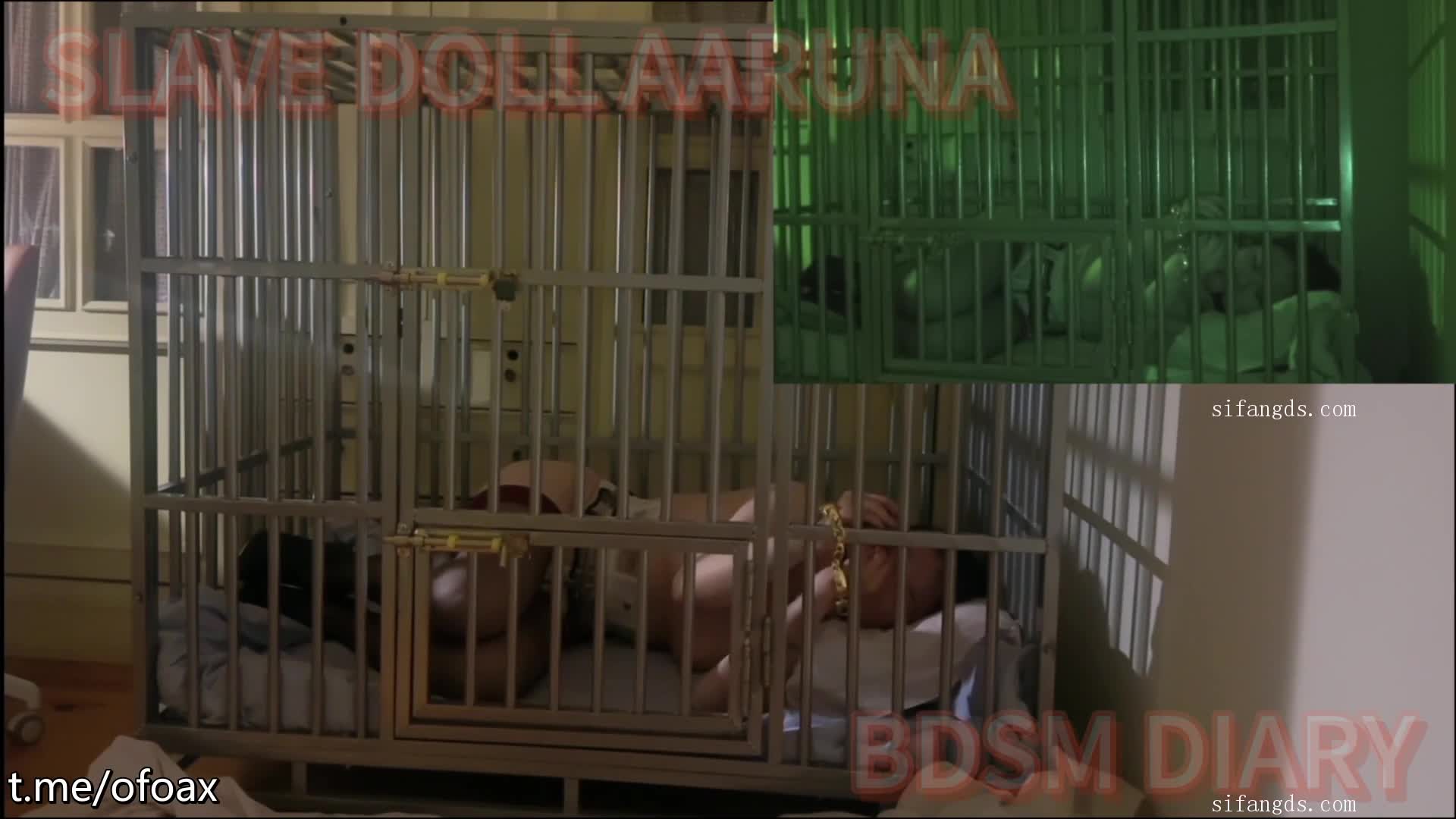 国内超强调教SLAVE DOLL AARUNA露脸阴环肛环美少妇性虐日记，戴着肛塞透明肉丝外出