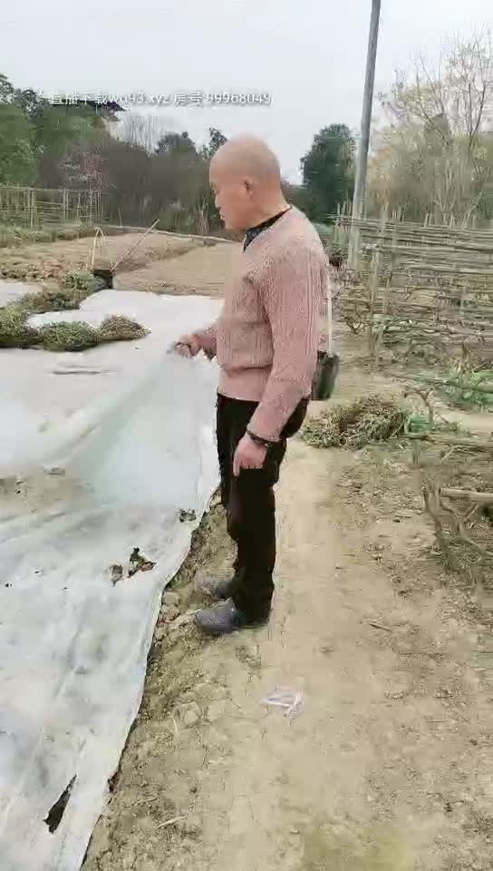 #下乡扶贫 #福利姬 #御姐 #农村