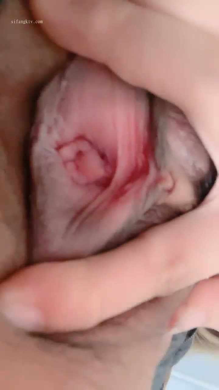 #百世可爱 #爱水的金鱼 #整活 #可爱 #颜值