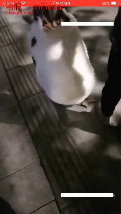 浙江约会哒人老梁路边捡尸醉酒妹子带回家再给她喝水加料安眠药昏睡后强搞妹子