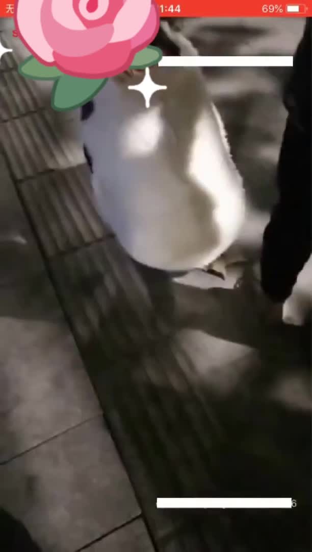 #强奸 #迷奸