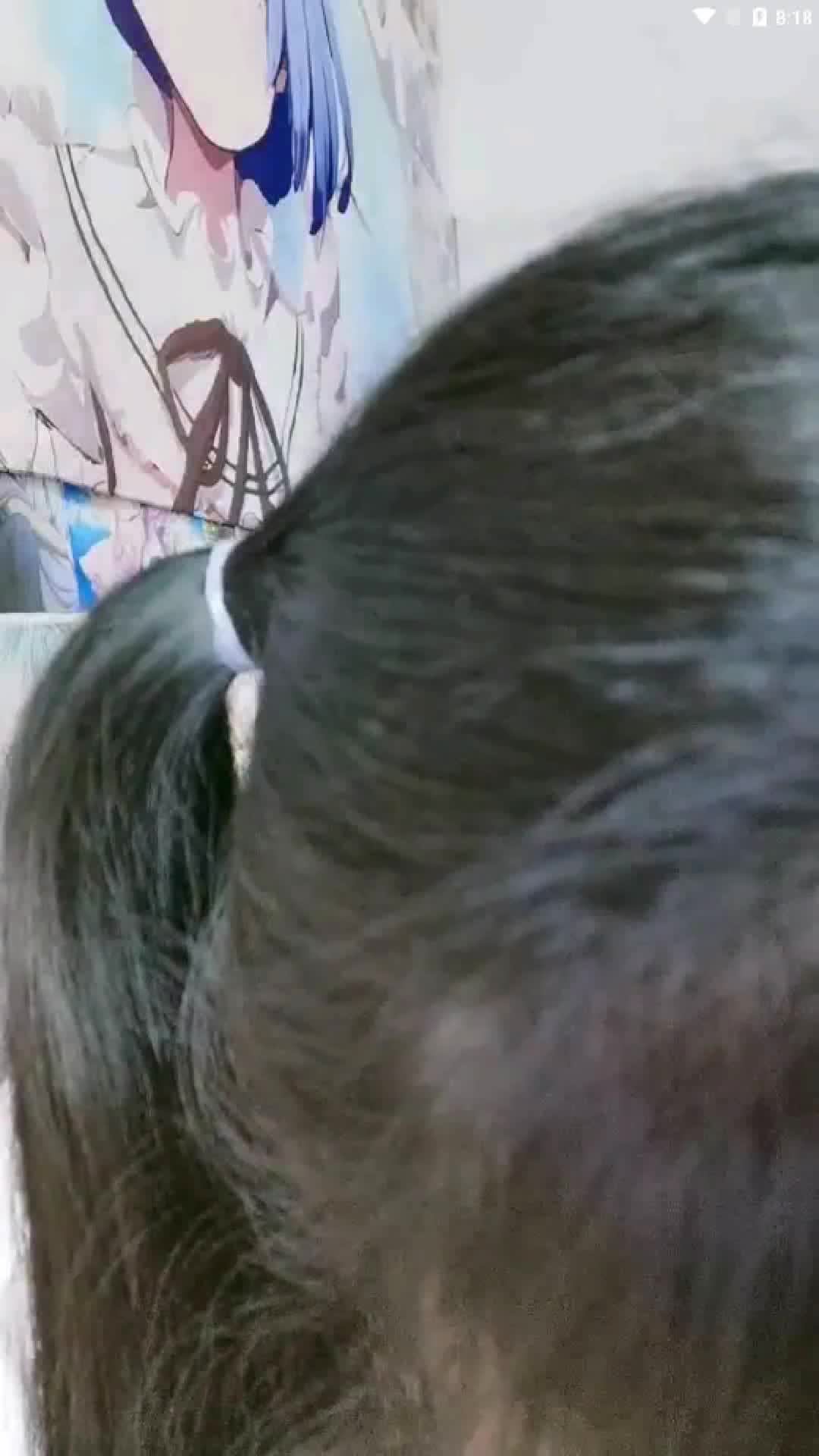 #胖次猫 #萝莉 #可爱 #双马尾 #精选黄播