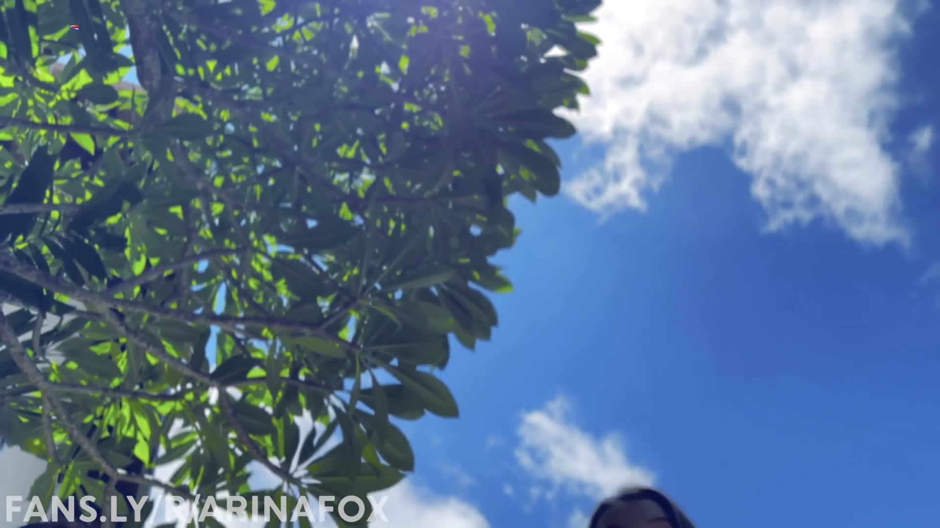 #ArinaFox1 #母狗 #调教 #中出 #口爆