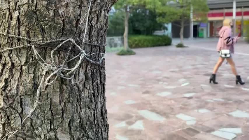 路边跟踪尾随迷晕后随意玩弄