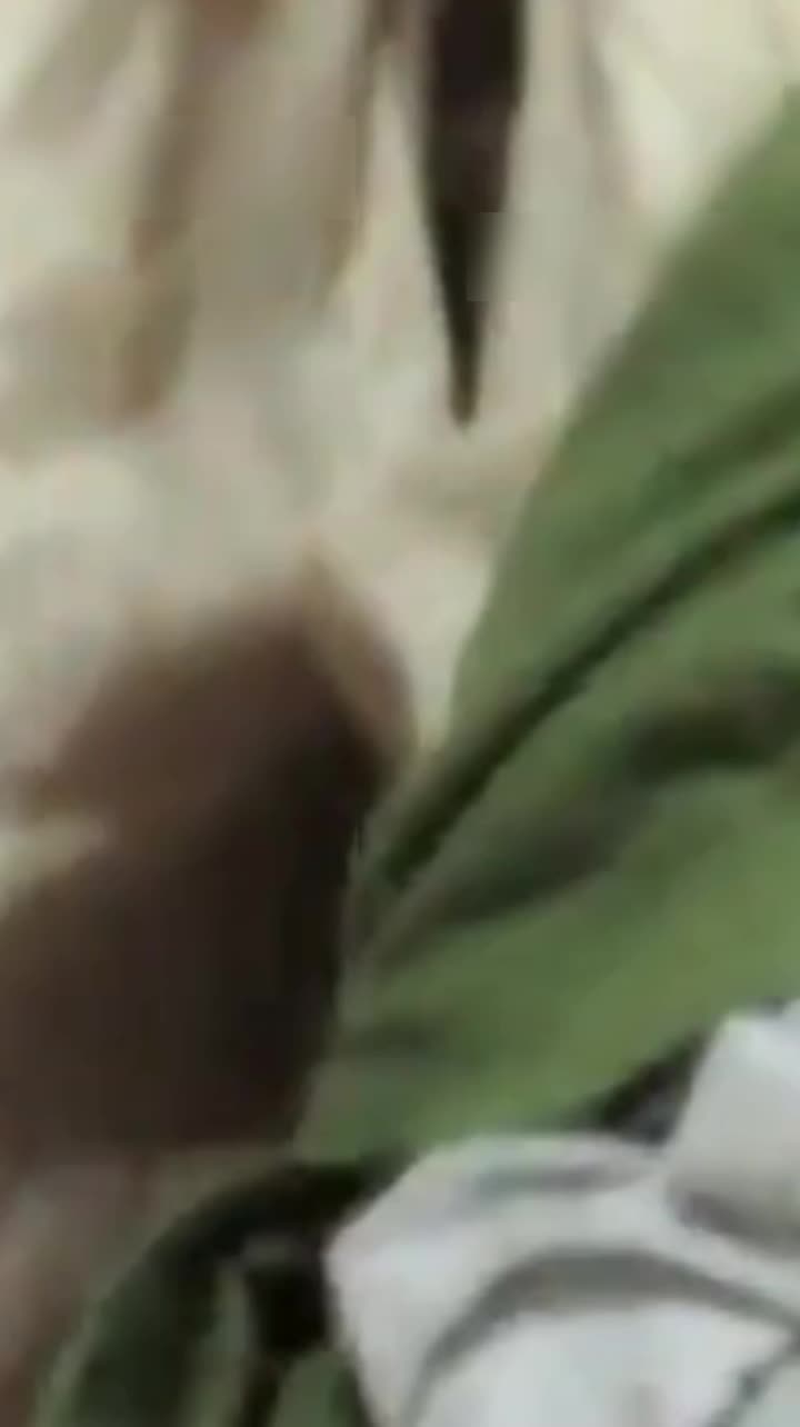 一群男女酒店喝酒 失恋女醉酒中半梦半醒被强奸#强奸 #轮奸 #醉奸